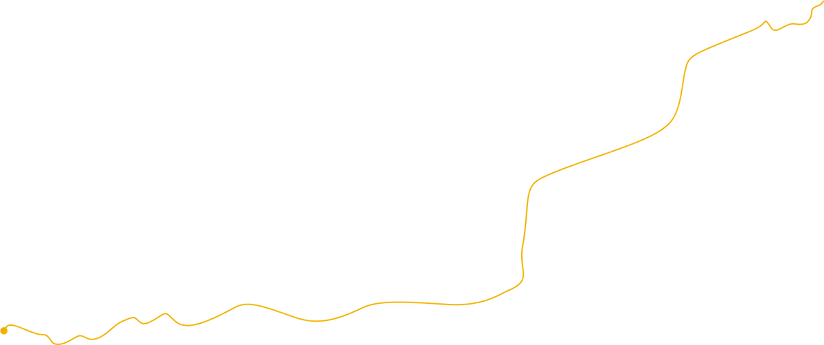 Decorative bottom line